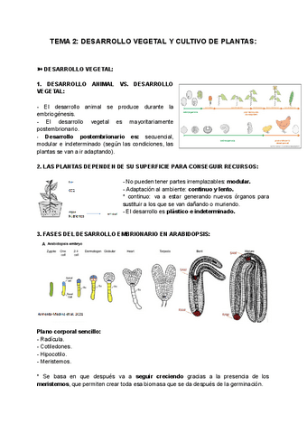 TEMA-2-DESARROLLO-VEGETAL-Y-CULTIVO-DE-PLANTAS.pdf
