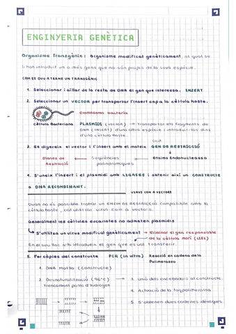 Enginyeria-Genetica.pdf
