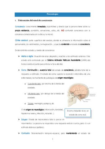 Tema-8.-Neurologia.pdf