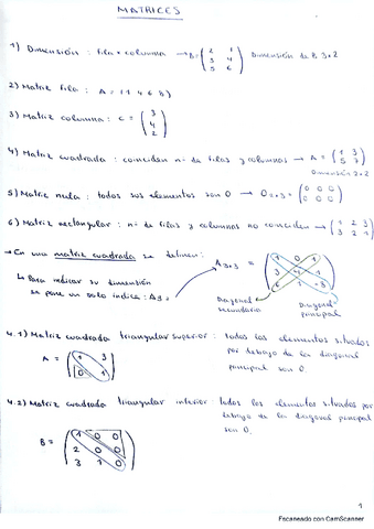 MATRICES.pdf