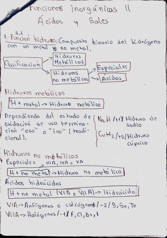 Funciones-Inorganicas-II-Acidos-y-Sales-TEORIA.pdf