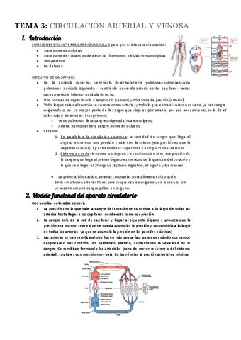 Tema-3fisiologia-II.pdf