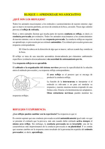 BLOQUE-1.pdf