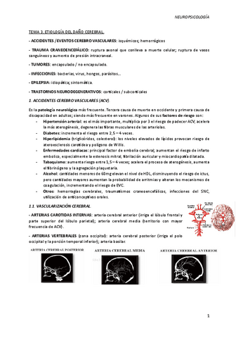 TEMA-3.-NEUROPSICOLOGIA-Etiologia-del-dano-cerebral.pdf