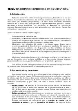 Generoso.pdf