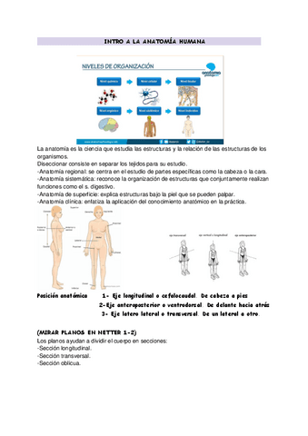 TEMA-1-DESARROLLO-EMBRIONARIO.pdf