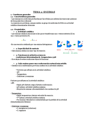 TEMA-2-ENZIMAS.pdf