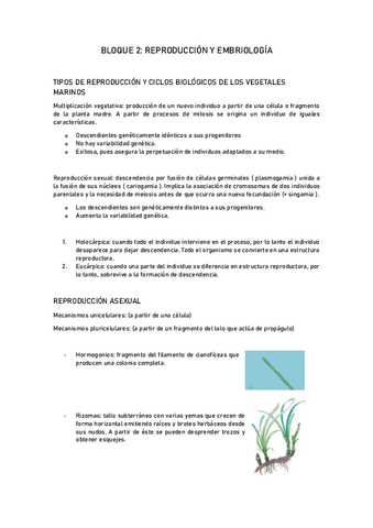 apuntes-bloque-2.pdf