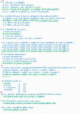 Preguntas-examen.pdf