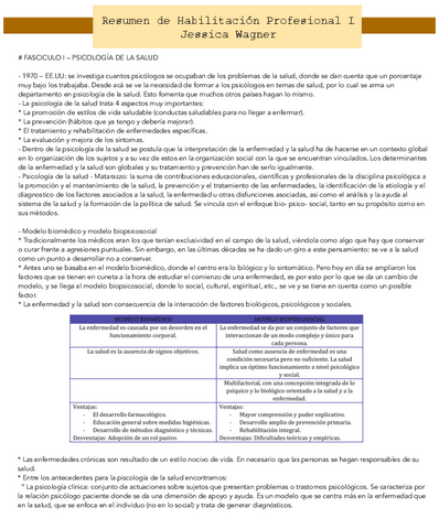 Resumen-de-Habilitacion-Profesional-I1.pdf