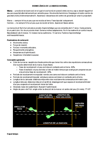 Biomecanica.pdf