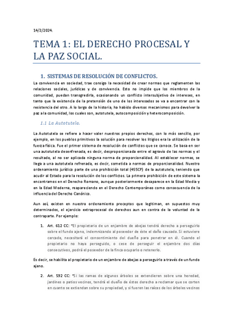 TEMA-1.-DERECHO-PROCESAL.pdf
