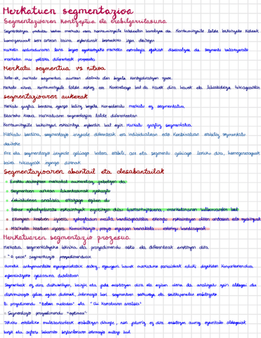 6-Merkatuen-segmentazioa.pdf