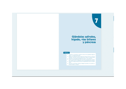 TEMA-7.pdf