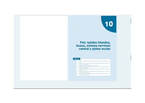 TEMA-10.pdf