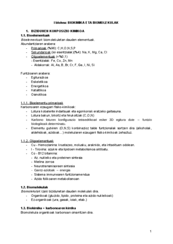 Biokimika-I.docx.pdf