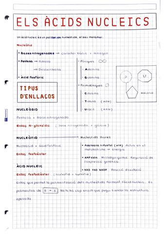 Acids-nucleics.pdf