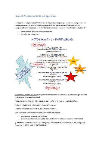 patologia-tema-3.pdf