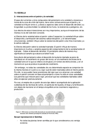 fruti-4.pdf