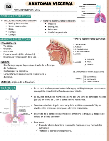 T3.pdf