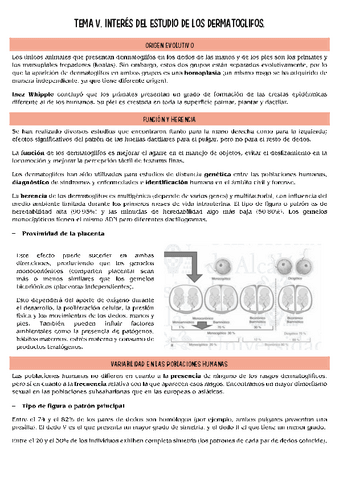 lofoscopia-T5.pdf