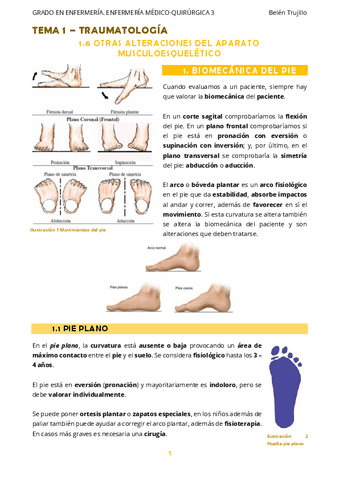 MQ3-Tema1-Traumatologia-8OtrasAlteraciones.pdf