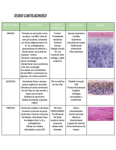 HISTOLOGIA-TEJIDO-CARTILAGINOSO.pdf