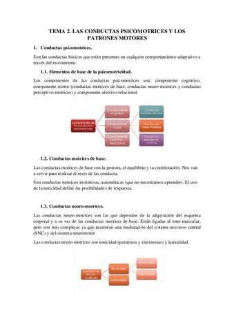 TEMA-2.-LAS-CONDUCTAS-PSICOMOTRICES-Y-LOS-PATRONES-MOTORES.pdf