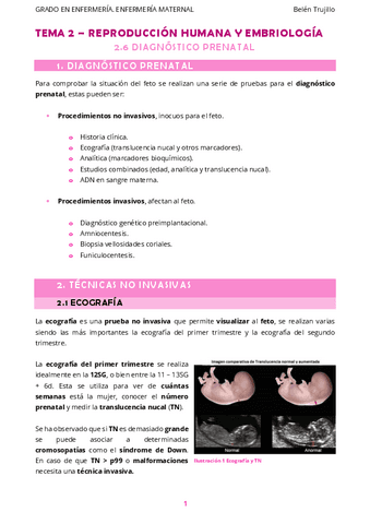 MATERNO-Tema2-ReproduccionHumanaEmbriologia-6DxPrenatal.pdf