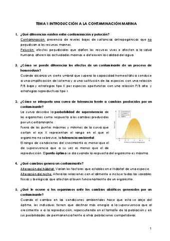 Preguntas-Contaminacion-Marina-Pajuelo.pdf