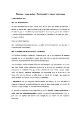 Energia i canvi químic - Espontaneïtat.pdf