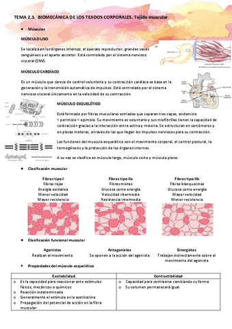 TEMA-2.3.-Biomecanica-de-los-tejidos-corporales.-Tejido-muscular.pdf