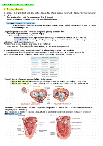 Tema-1-.-Anatomia-Funcional-Del-Corazon.pdf