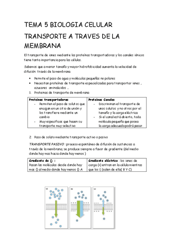 TEMA-5-BIOLOGIA-CELULAR.pdf