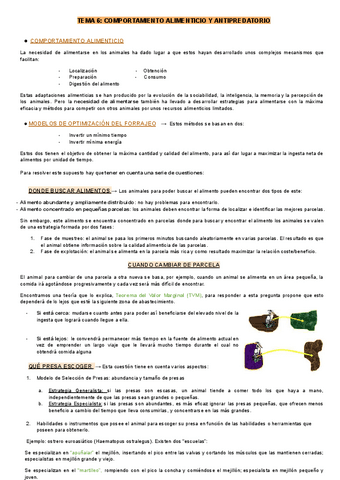 Etologia-Tema-6.docx.pdf