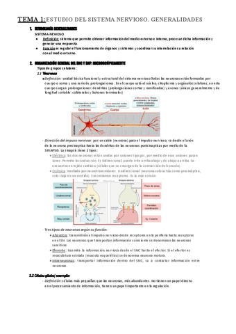 Anatomia-2-T1.pdf