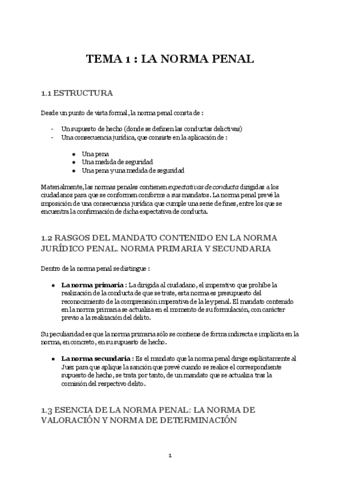 Tema 1 La Norma Penal Pdf