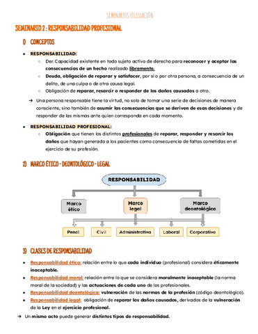 Seminario 2: responsabilidad profesional.pdf