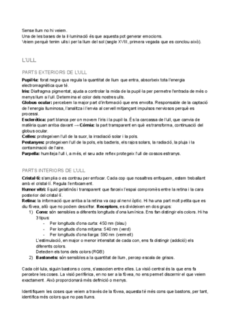APUNTS-ILLUMINACIO.pdf