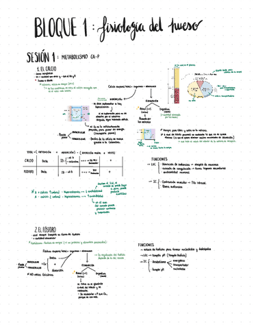 Bloque-1-FISIOLOGIA-II.pdf