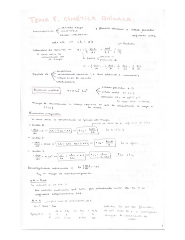 Tema-8.-Cinetica-quimica.pdf
