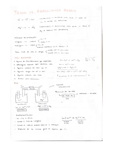 Tema-12.-Reacciones-redox.pdf
