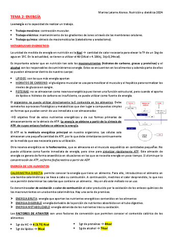 TEMA-2-energia.pdf