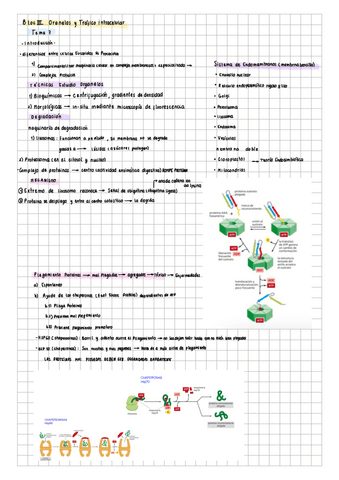 Biologia-celular-teoria.pdf