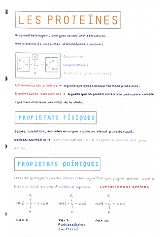 Proteïnes.pdf