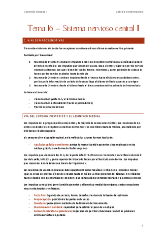 Tema-16-Sistema-nervioso-central-II.pdf
