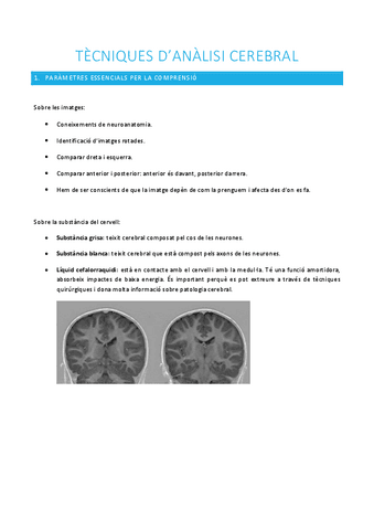 Neuropsicologia-4.pdf