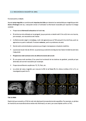 Neuropsicologia-5.pdf