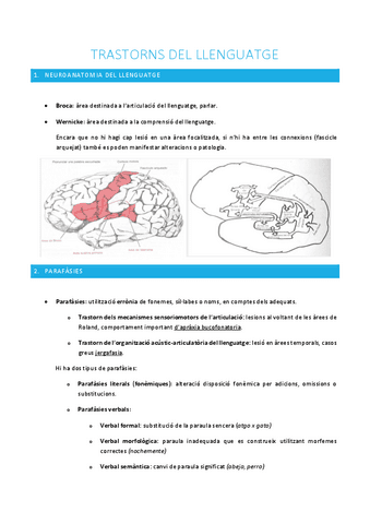 Neuropsicologia-7.pdf