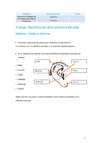 Anatomia-actividad-2-hecha.pdf